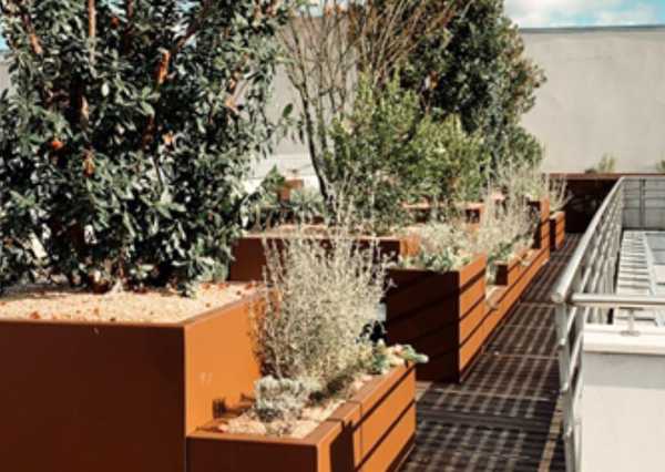 OV 53Ch - OV 53C - Terrasse